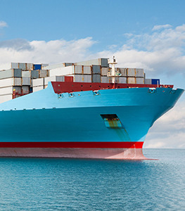 General Trading Division